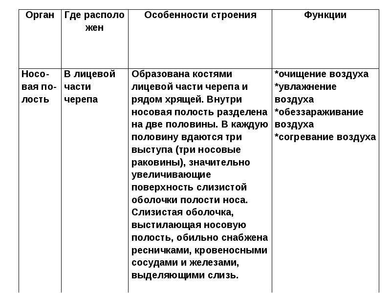 Особенности строения органов дыхания