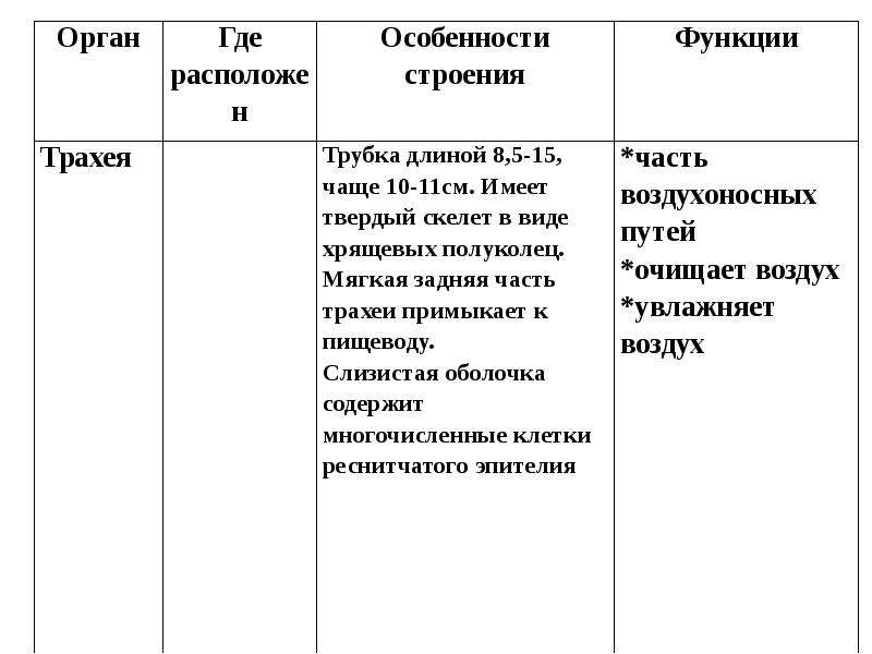 Органы дыхания таблица 8