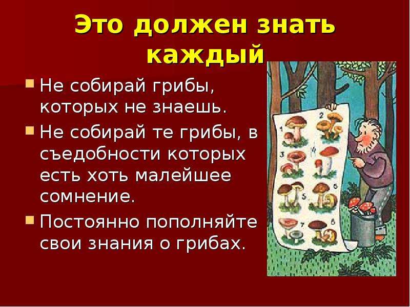 Не собранные грибы. Презентация съедобное и несъедобное для дошкольников. Съедобные и несъедобные грибы цель и задачи. Съедобные и несъедобные продукты в лесу. Грибы съедобные и несъедобные стихи.