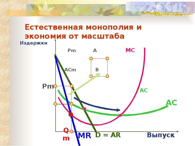 Виды естественных монополий схема