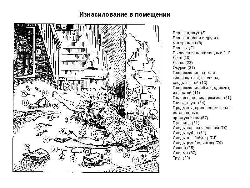 Задачи по криминалистике в картинках