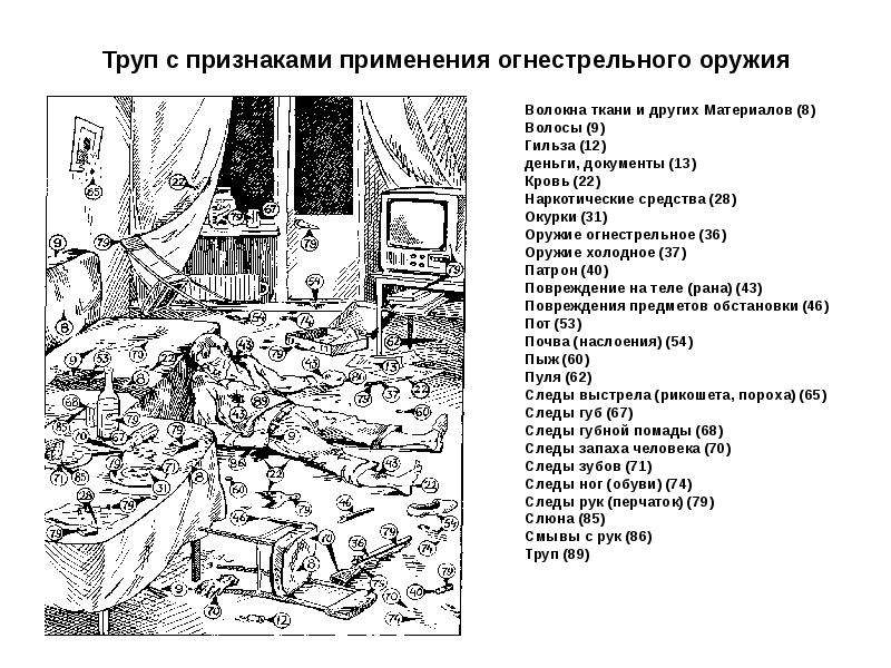 Задачи по криминалистике в картинках