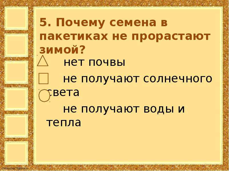 Почему семена в пакетиках не прорастают зимой