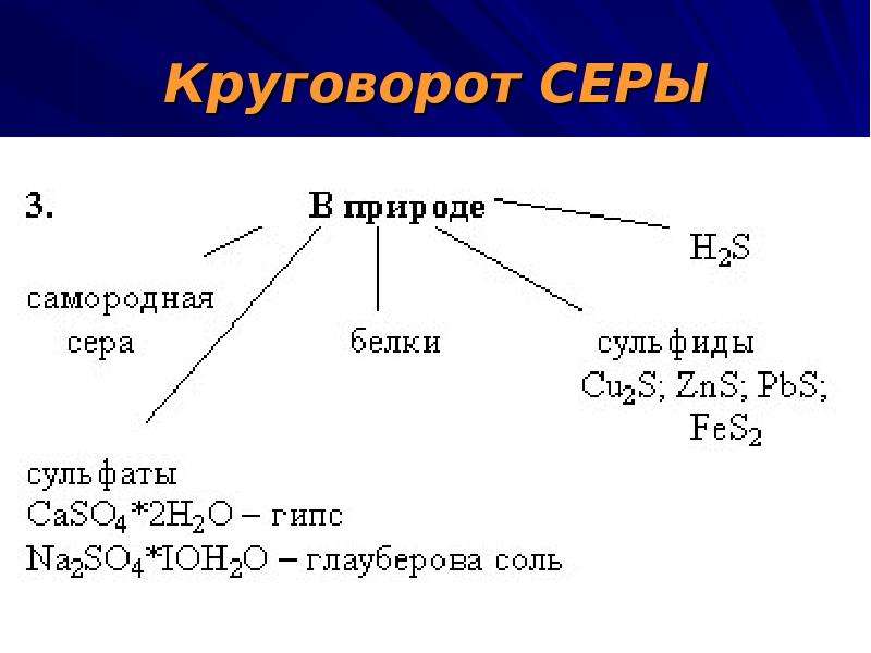 Круговорот серы схема