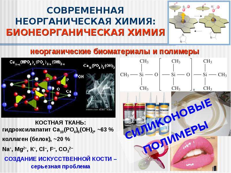 Презентация по полимерам 10 химия