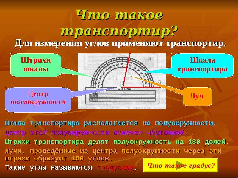 Транспортир 5 класс