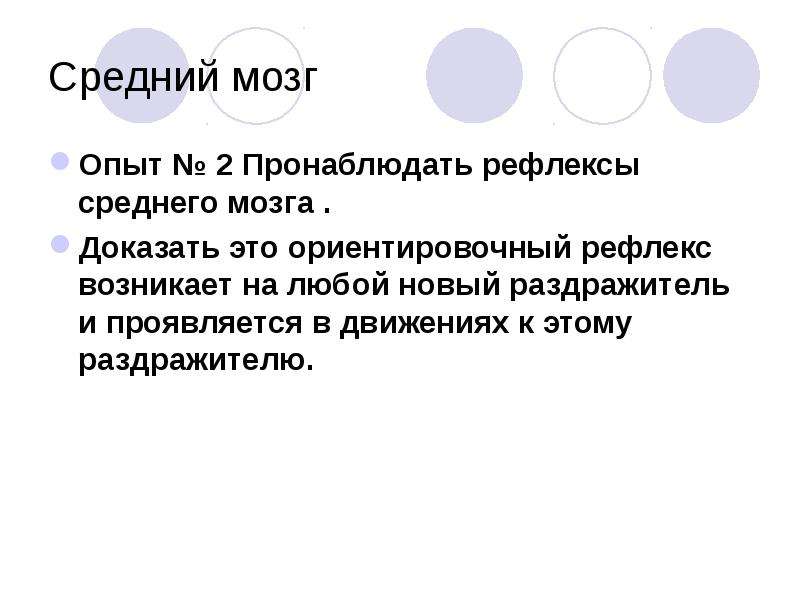 Ориентировочный рефлекс. Презентация на тему Ориентировочный рефлекс. Рефлекс среднего мозга опыт. Средний мозг рефлекс раздражитель. Ориентировочный рефлекс возникает в мозге.