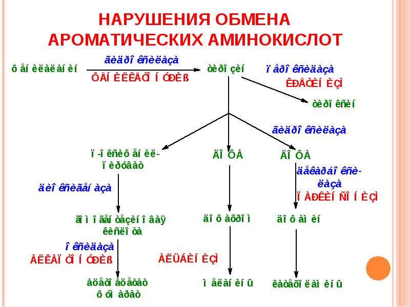 Болезни нарушения аминокислот. Нарушение обмена ароматических аминокислот. Нарушение обмена аминокислот заболевания. Нарушение метаболизма аминокислот. Обмен ароматических аминокислот.