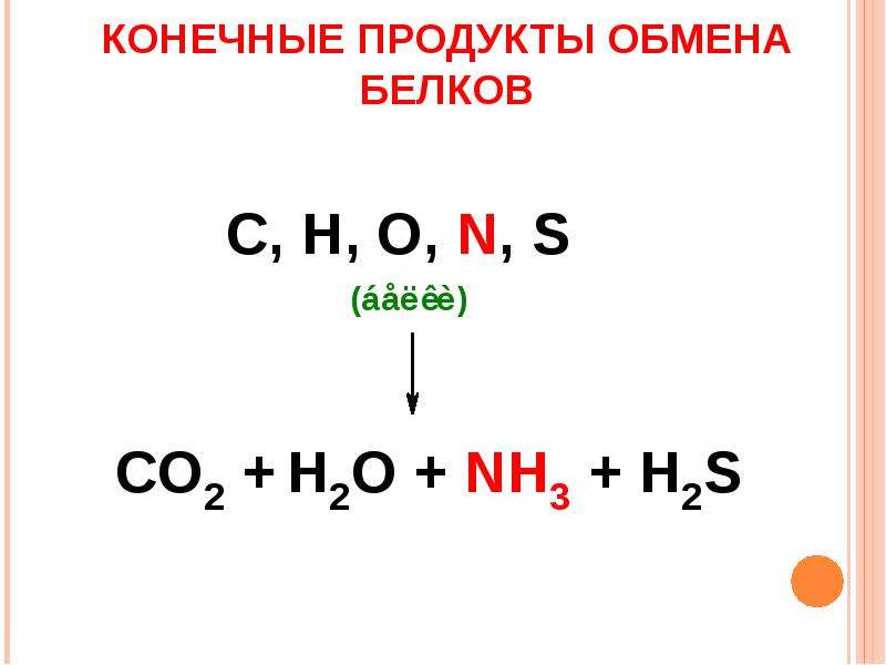 Конечные продукты белков. Конечные продукты обмена белков. Образование конечных продуктов обмена белков. Конечные продукты белкового обмена. Конечный продукт обмена белка.