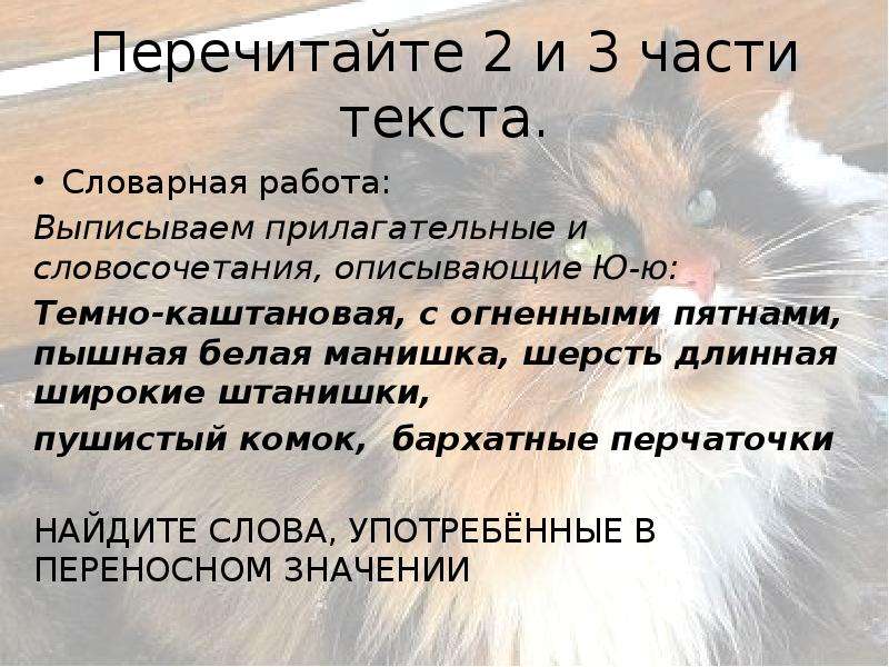 Описать ю. Изложение по русскому 5 класс Куприна ю-ю. Изложение Куприна ю-ю. Изложение ю-ю Куприн 5. Изложение по рассказу Куприна ю ю.