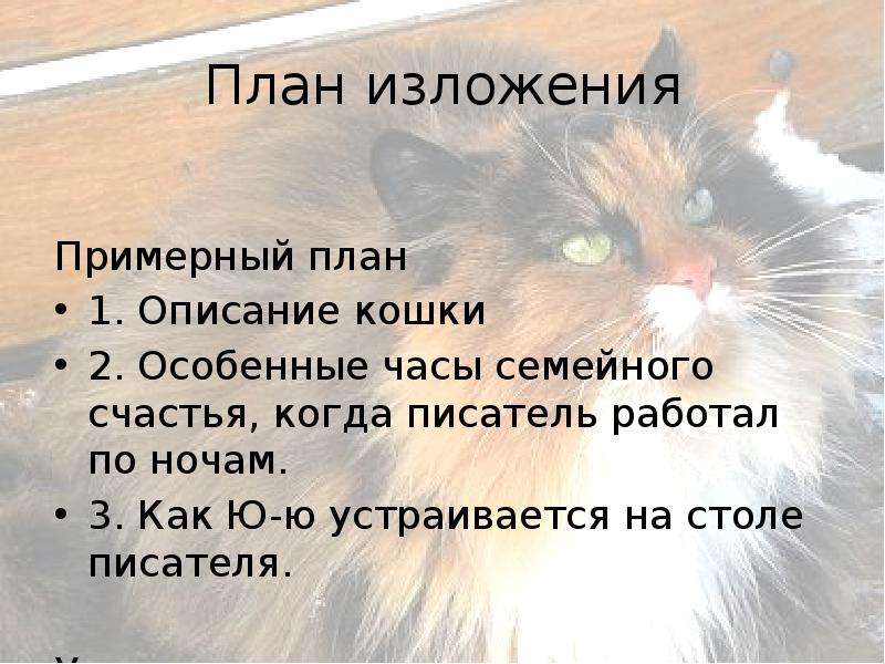 План изложения 5 класс