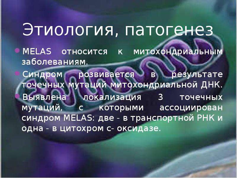 Синдром мелас презентация