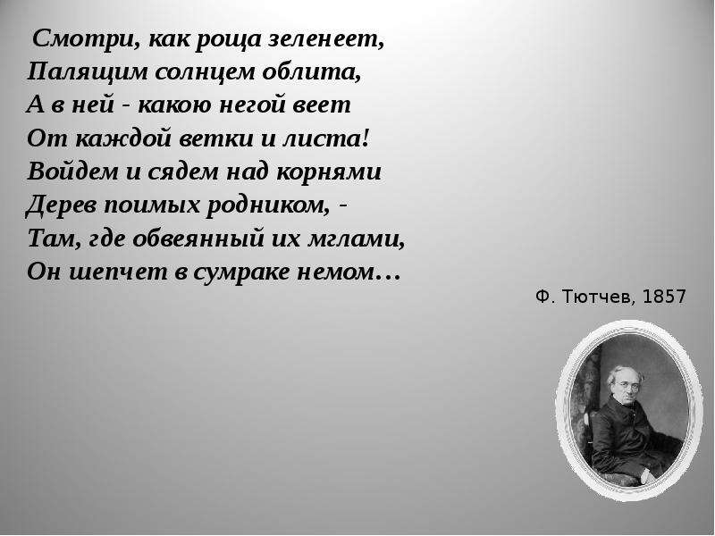 Палящим солнцем облита. Смотри как роща зеленеет палящим. Тютчев палящим солнцем облита. Войдем и сядем над корнями. Тютчев смотри как роща зеленеет.