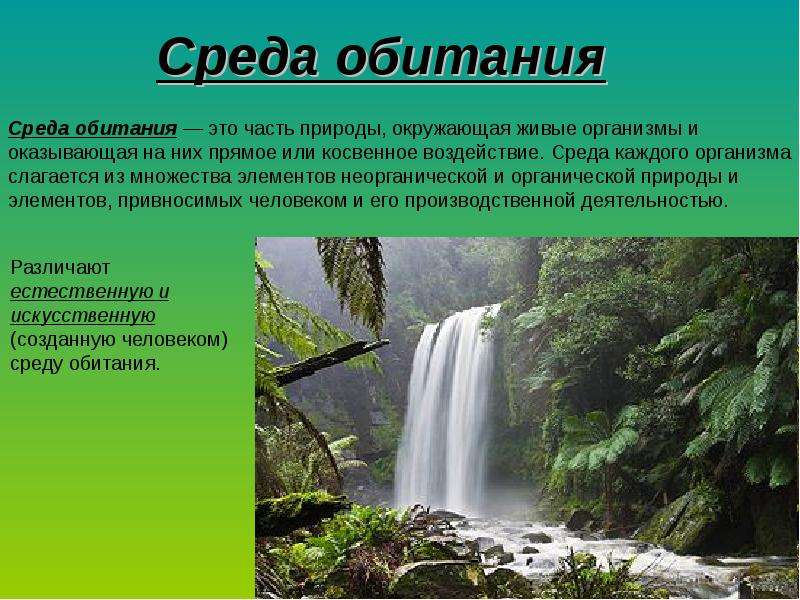 Среда обитания это. Среда обитания презентация. Среда обитания это та часть природы. Среда обитания своими словами. Среда обитания это природное явление.