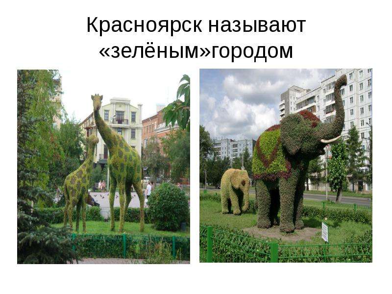 Проект города красноярска