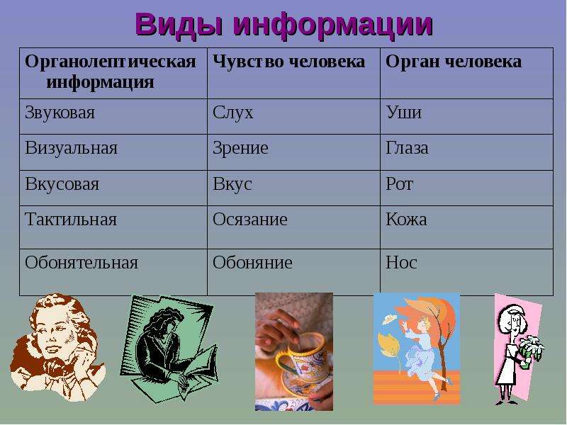 Виды информации в книге презентация 4 класс. Виды информации. Информация виды информации. Вид информации чувство орган. Виды информации для человека.