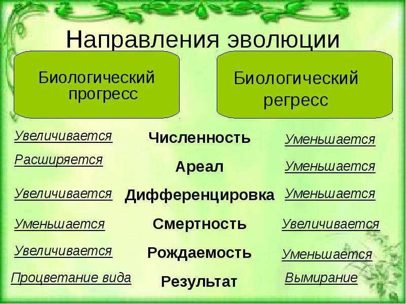 Биологический прогресс презентация