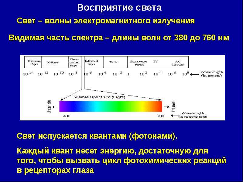 Длина световой волны. Длины волн видимой части электромагнитного спектра. Видимая часть спектра электромагнитного излучения. Спектр света — часть спектра электромагнитного излучения. Диапазон длин волн видимого спектра электромагнитного излучения:.