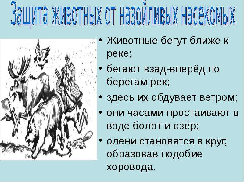 На ловца бежит. Звери бегут к реке. На ловца и зверь бежит значение.