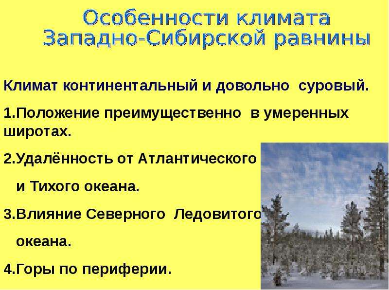 Природные особенности западной сибири. Климат Западно сибирской равнины. Западно Сибирская равнина особенности природы презентация. Характеристика климата Западно сибирской равнины. Особенности Западно сибирской равнины.