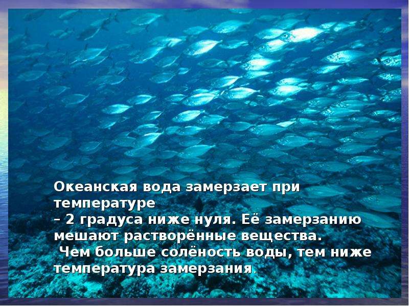 Вода 2 градуса. Температура замерзания океанической воды. Вода замерзает при. Океаническая вода замерзает при 0 градусов. Вода замерзает при температуре.