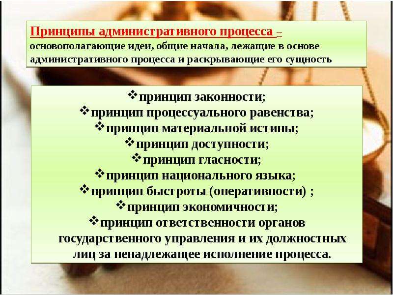 Понятие административного процесса. Принципы принципы административного процесса. Сущность административного процесса. Виды административного процесса. Принципы административного судопроизводства.