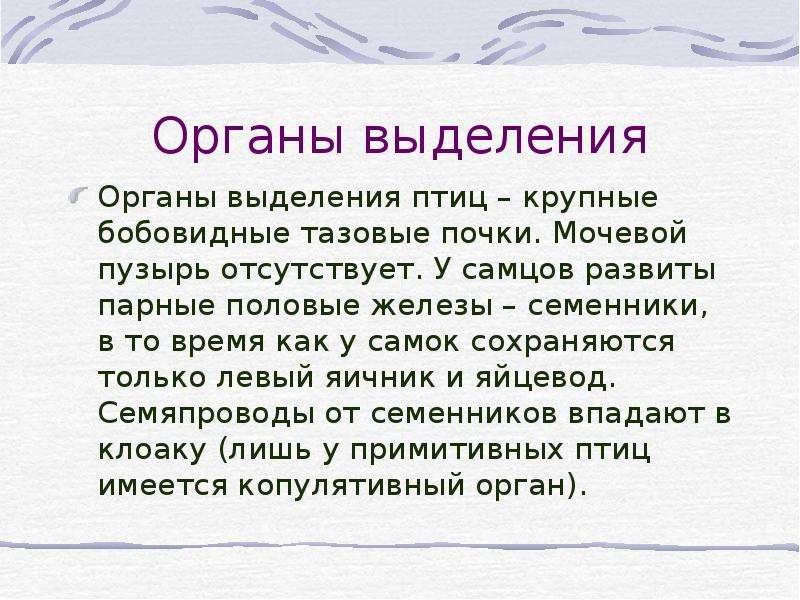 Птицы выделяют. Органы выделения птиц – крупные бобовидные тазовые почки.. Органы выделения птиц. Выделение у птиц. Тазовые почки у птиц.