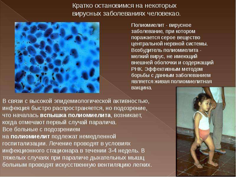 Вирусные инфекции описание