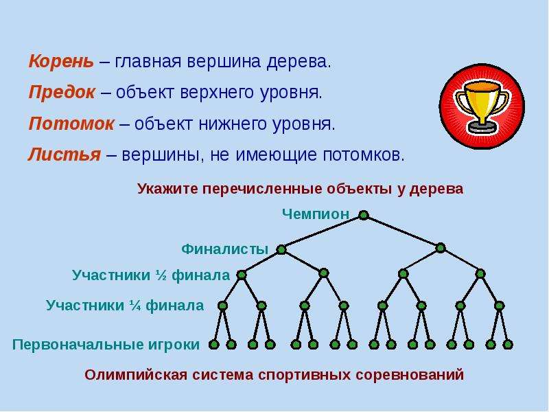 Объекты предки. Вершины дерева, не имеющие порождённых вершин, называются…. Вершины не имеющие потомков. Листовые вершины в дереве. Центральная вершина дерева.