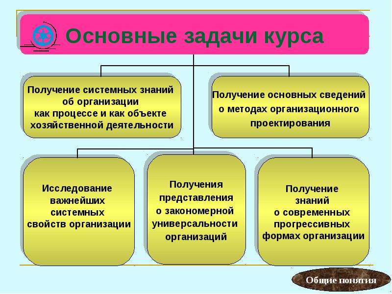 Теория организации презентация