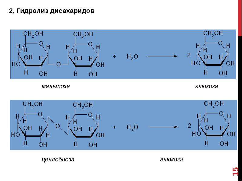 Фруктоза продукт гидролиза. Реакция гидролиза дисахаридов. Восстанавливающие дисахариды мальтоза лактоза целлобиоза. Гидролиз дисахаридов механизм реакции. Гидролиз дисахаридов схема.