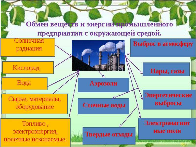 Презентация по обществу на тему экология