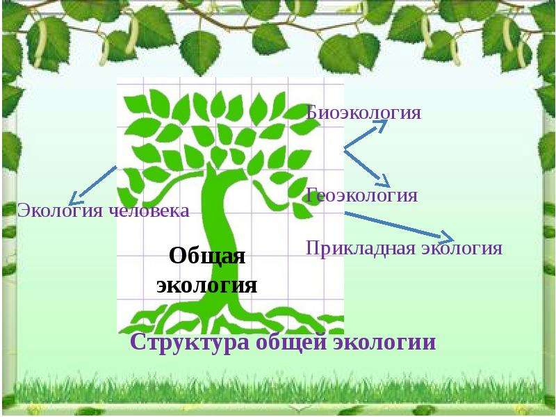 Презентация на тему социальная экология