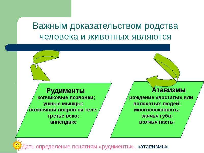 Доказательства родства человека с млекопитающими животными презентация