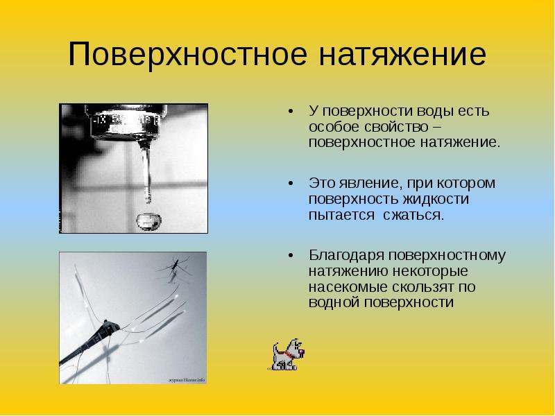 Если поверхность воды колеблется то изображения предметов в воде принимают причудливые формы почему