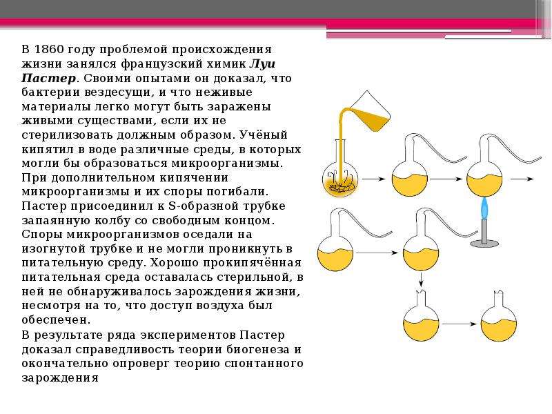 На рисунке показан опыт луи пастера какую теорию опроверг ученый этим опытом