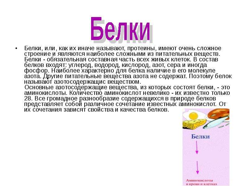 Презентация на тему белки и их структура