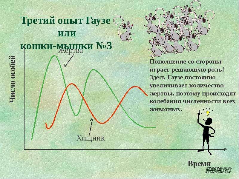 Конкурентное исключение гаузе. Принцип Гаузе экология. Экологический закон Гаузе. Принцип исключения Гаузе. Закон (принцип) исключения Гаузе.