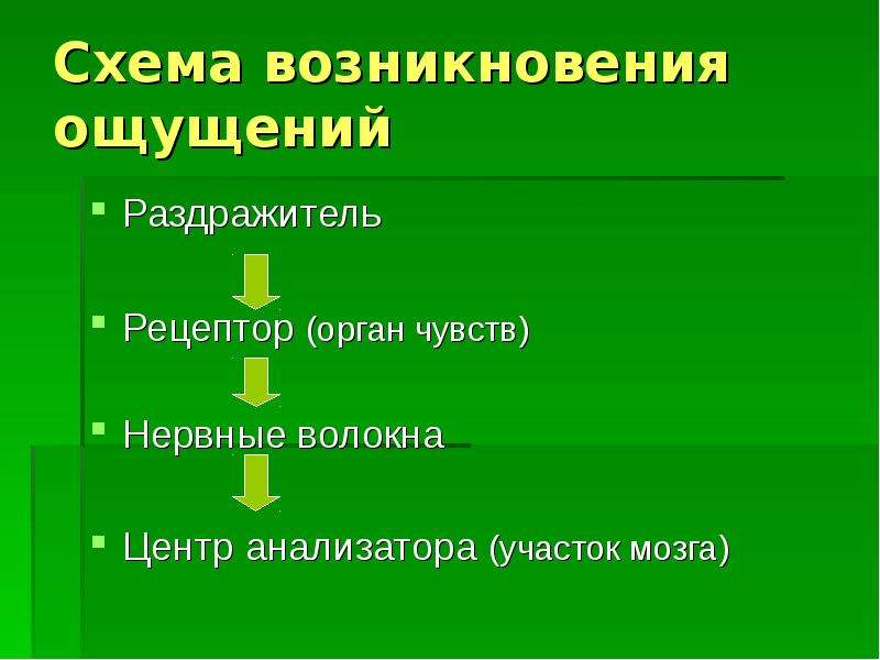 Понятие об ощущениях. Возникновение ощущений схема. Ощущения по происхождению. Специализация рецепторов и органов чувств. Происхождение ощущений реферат.