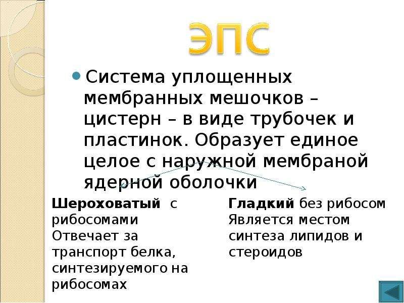 Система одномембранных цистерн