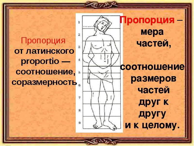 Соразмерность. Части пропорции. Закон пропорции. Соразмерность и пропорции. Мера пропорция.