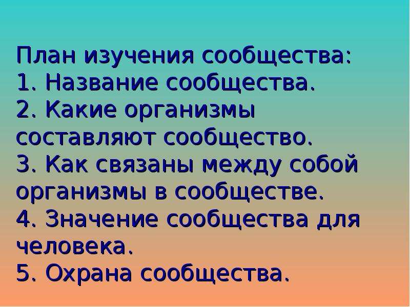 Характеристика лесного сообщества 4 класс по плану окружающий мир по плану