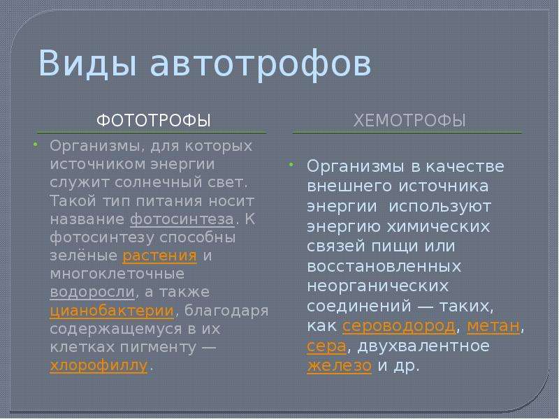 Фототрофы это. Фототрофы и хемотрофы. Типы автотрофов. Фототрофы Тип питания. Фототрофы и хемотрофы примеры.