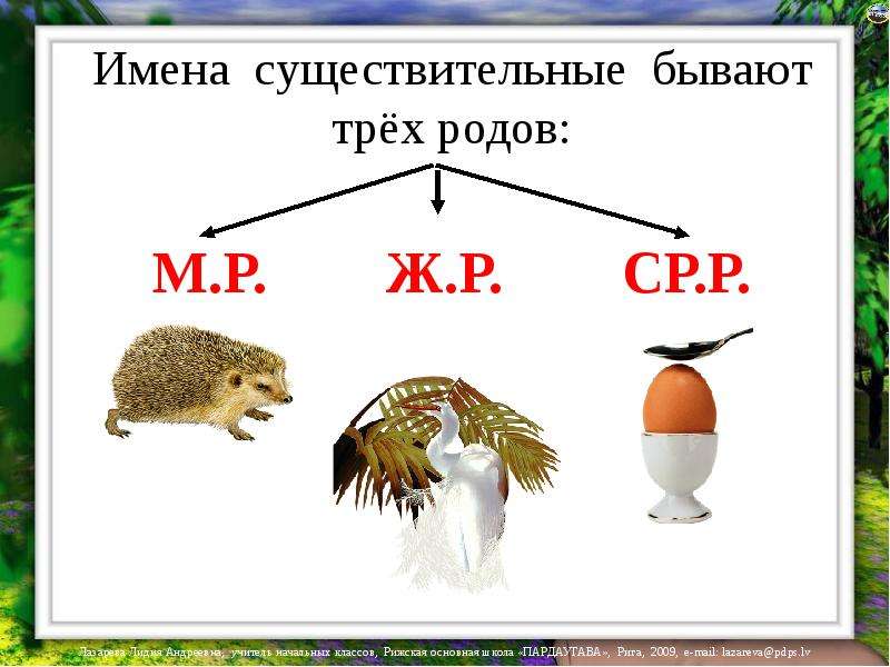 Род имен существительных 3 класс картинки