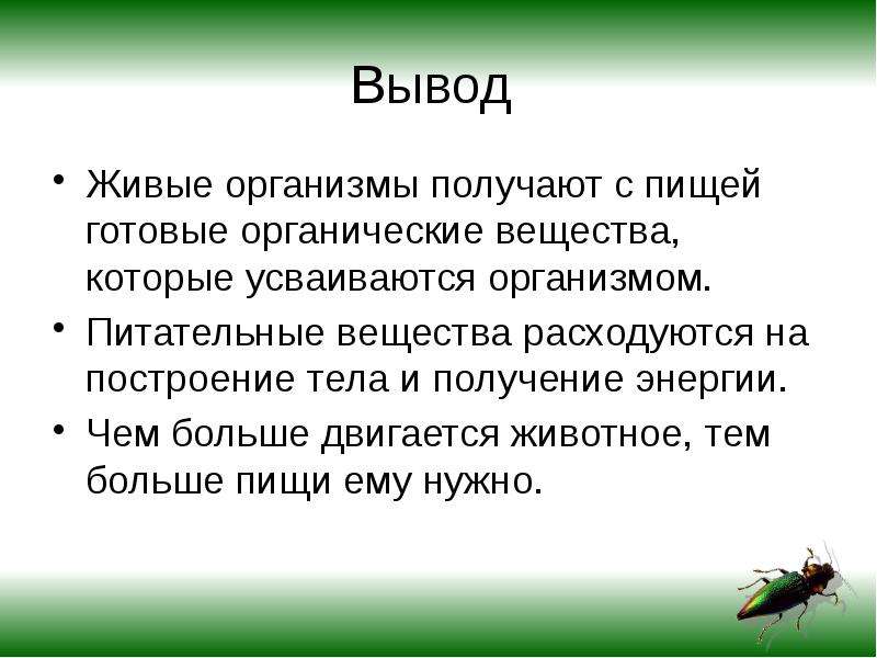 Презентация зачем живые организмы запасают питательные вещества