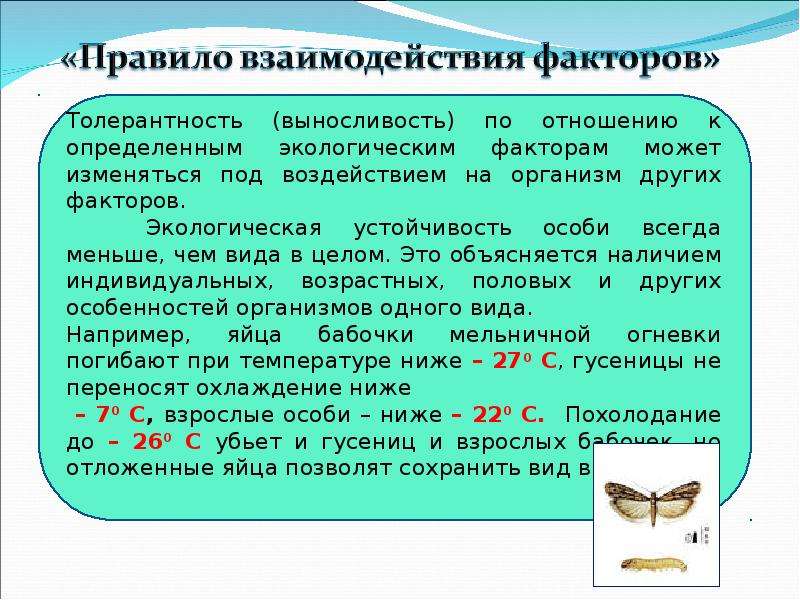 От чего зависит закон. Общие законы зависимости организмов от факторов среды. Опишите Общие законы зависимости организмов от факторов среды.. Чем отличается факт от фактора.