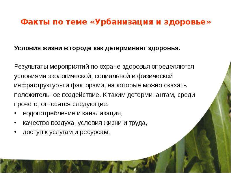 Урбанизация вывод. Влияние урбанизации на здоровье человека. Урбанизация и здоровье. Предпосылки урбанизации. Условия здоровья.