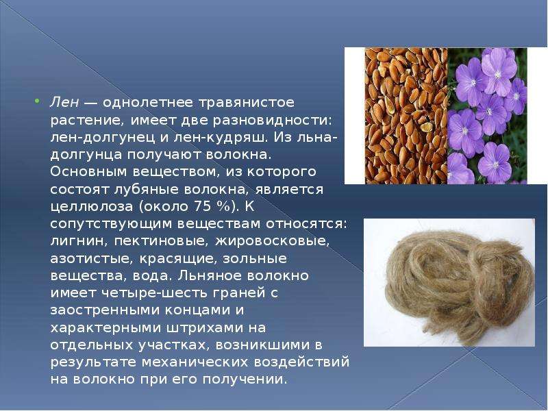 Из какого растения получают ингредиент филобиома актив. Лен долгунец лубяные волокна. Растительные волокна хлопка и льна. Лен сырье для ткани. Лен волокна ткани.