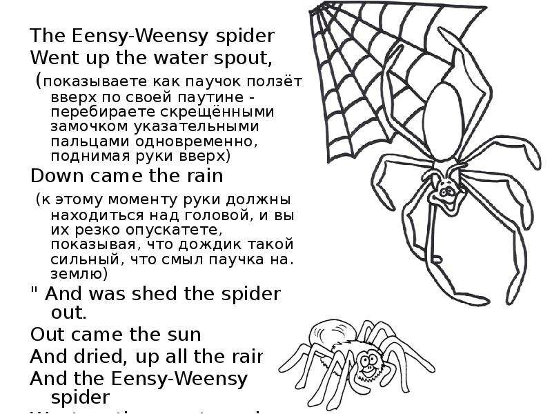 Прочитай текст пауки. Eensy weensy Spider текст. Spider перевод. Итси-Битси паучок. Паучок все вверх ползет.