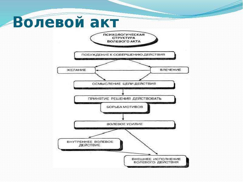 Функции волевых действий схема